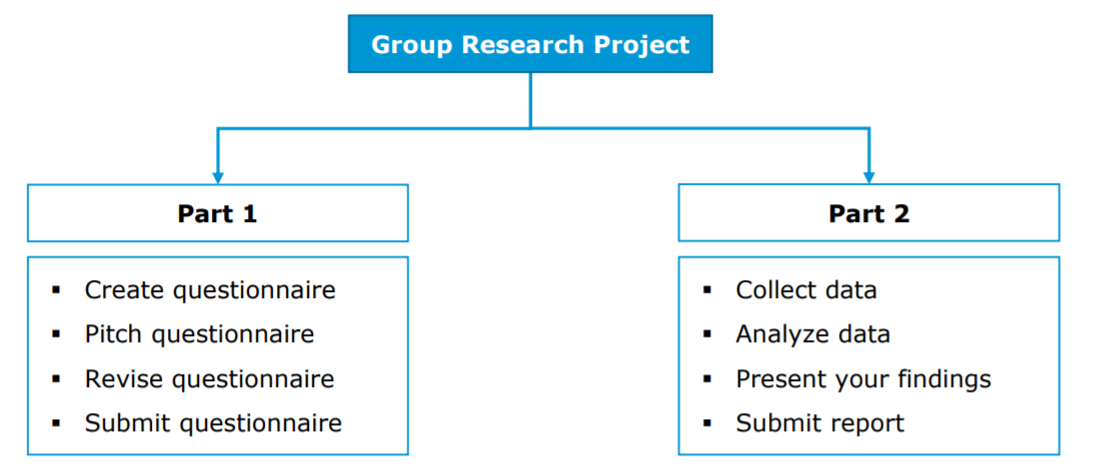 Structure of the group project